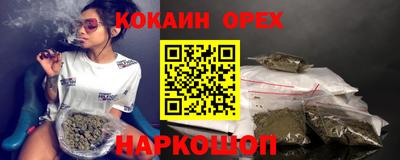 прущие грибы Будённовск