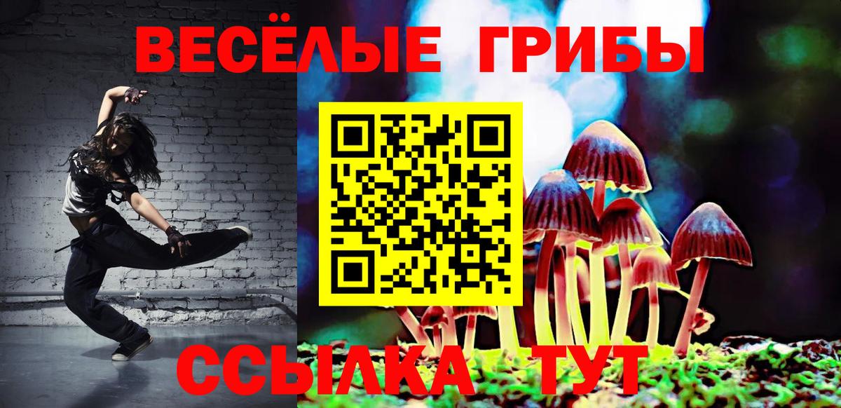 Псилоцибиновые грибы мухоморы Кумертау